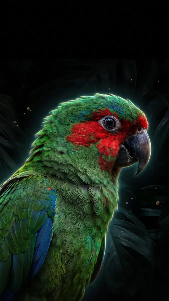 Vue de profil en gros plan d'un perroquet vert avec des taches rouges autour des yeux et un bec sombre sur fond noir